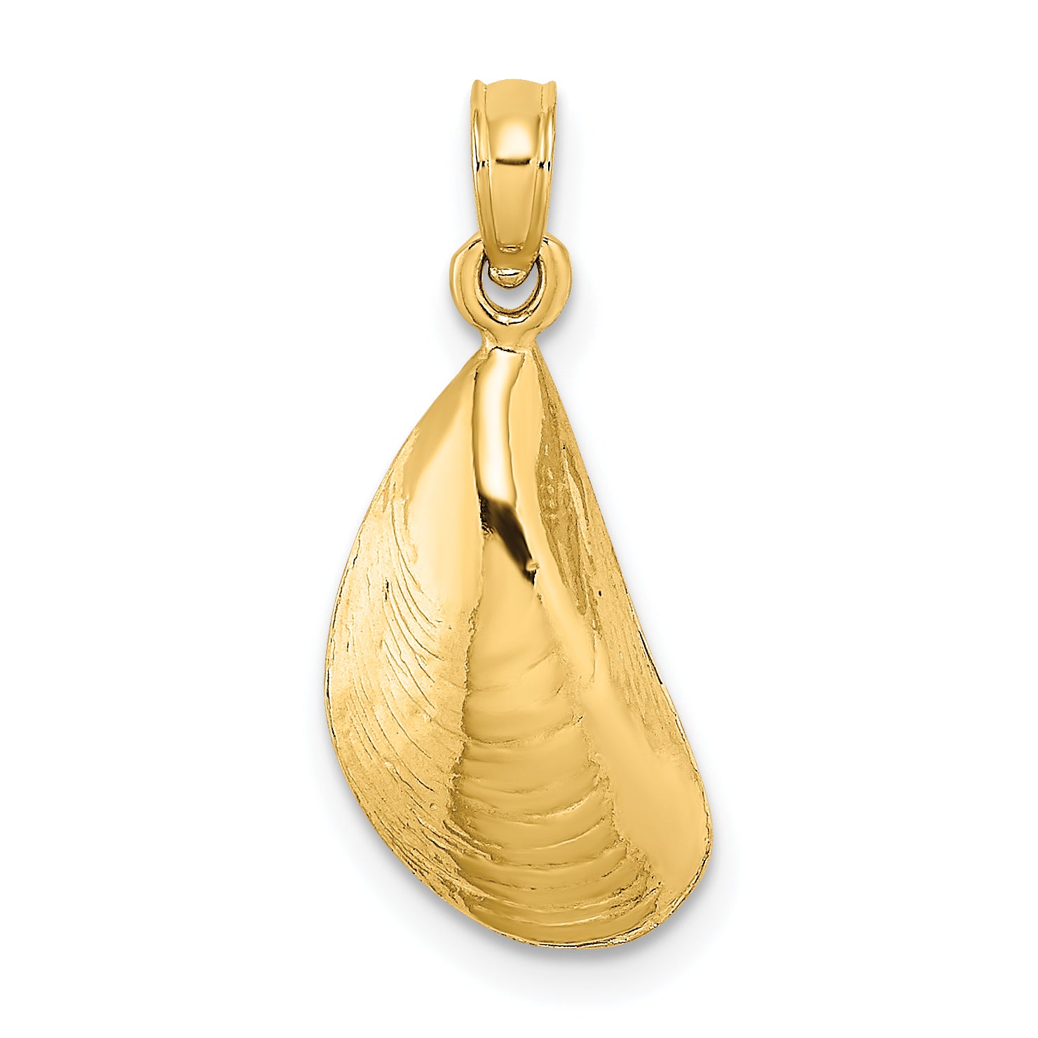 10K 2-D Polished Mussel Shell Charm