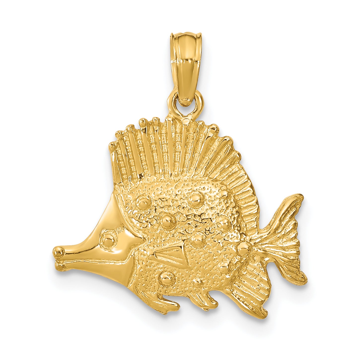 10K Polished Engraved Fish Charm