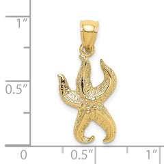 10K Textured Starfish Charm