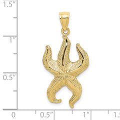 10K Textured Starfish Charm