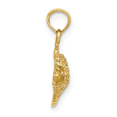 10K 2-D  Textured Gold Fish Charm