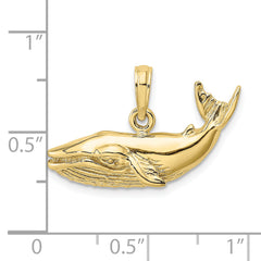 10K 2-D Humpback Whale Charm