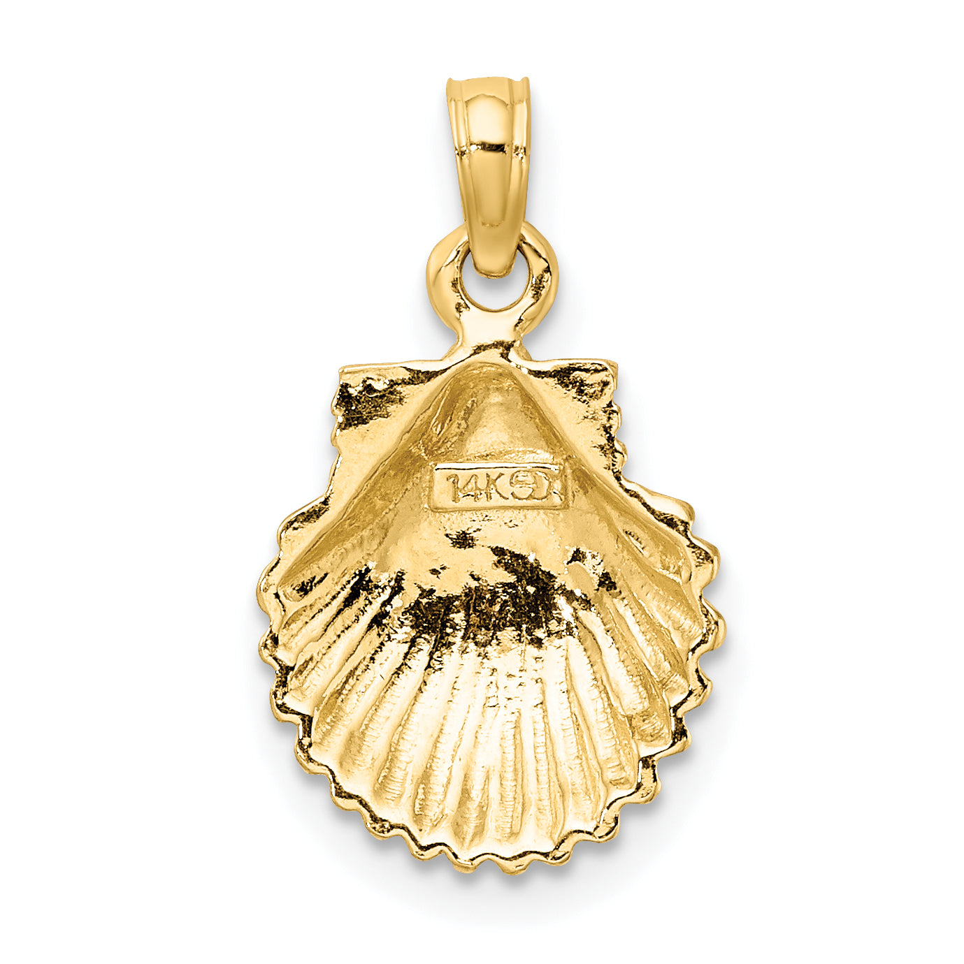 10K Polished Scallop Shell Charm