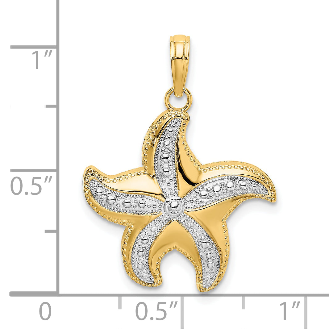 10K w/Rhodium D/C Polished Starfish Charm