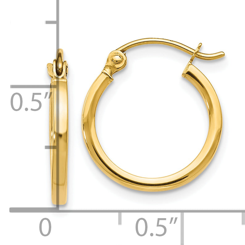 10K Gold Polished Hoop Earrings with Hinged Closure and Lifetime Warranty