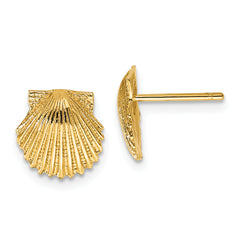 10k Scallop Shell Post Earrings