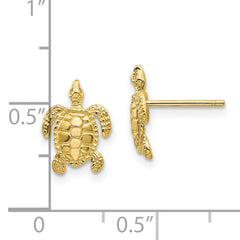 10k Turtle Post Earrings