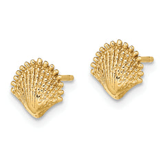 10K Scallop Shell Post Earrings