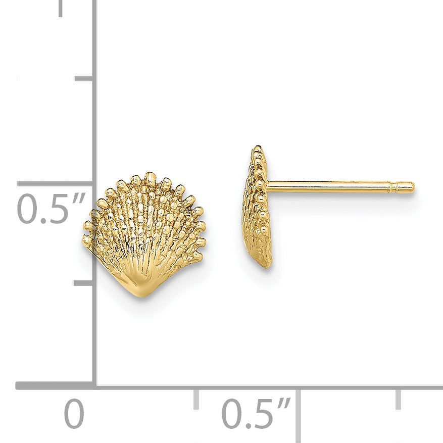 10K Scallop Shell Post Earrings