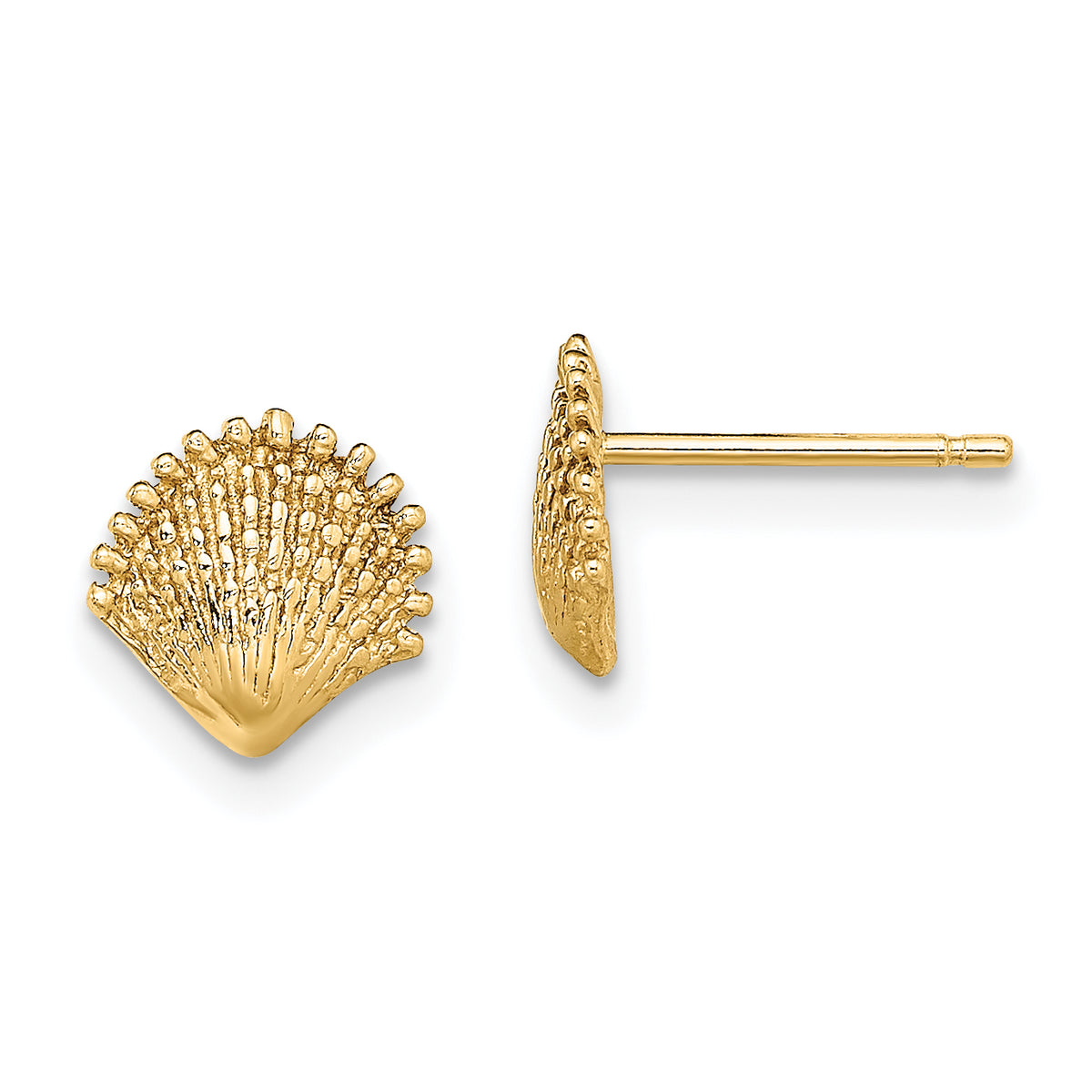 10K Scallop Shell Post Earrings