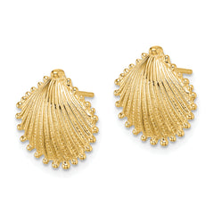 10K Scallop Shell Post Earrings