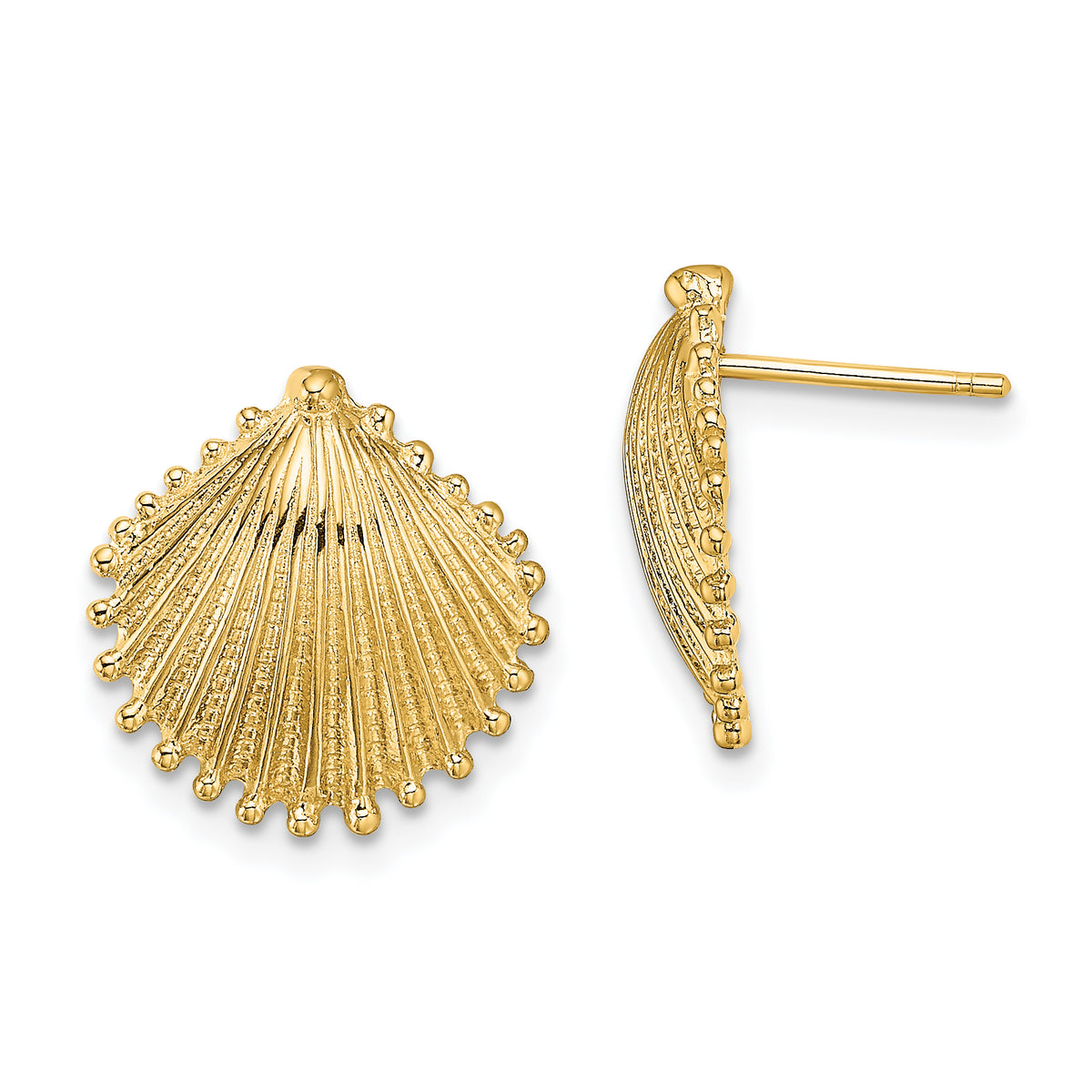 10K Scallop Shell Post Earrings