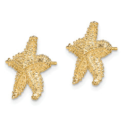 10K Textured Beaded Starfish Post Earrings