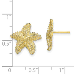 10K Textured Beaded Starfish Post Earrings