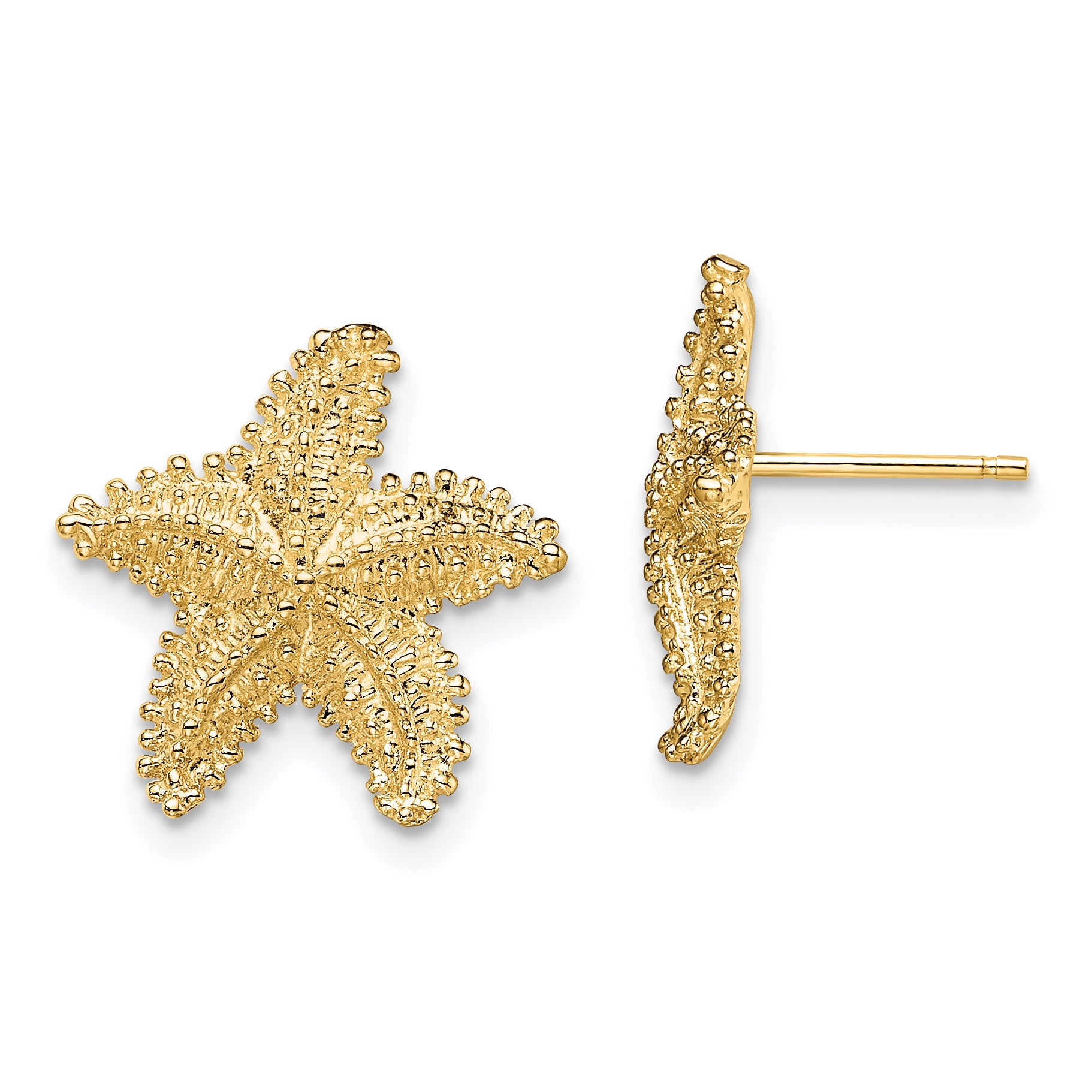 10K Textured Beaded Starfish Post Earrings