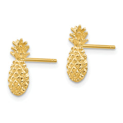 10K Polished Textured Pineapple Post Earrings