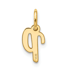 10k Small Script Initial P Charm