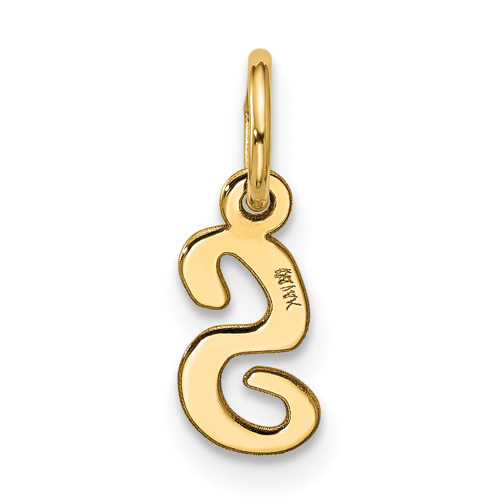 10k Small Script Initial S Charm