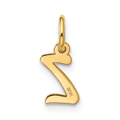 10k Small Script Initial Z Charm