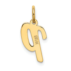 10k Small Script Initial P Charm