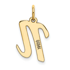 10K Medium Script Letter N Initial Charm