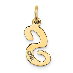 10K Medium Script Letter S Initial Charm