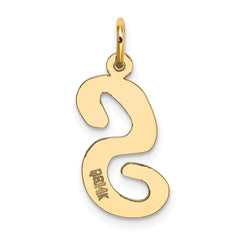 10k Large Script Letter S Initial Charm