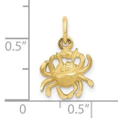 10k Cancer Zodiac Charm