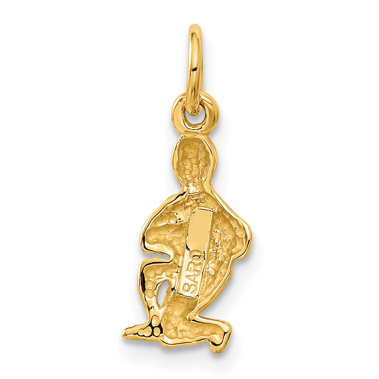 10k Aquarius Zodiac Charm