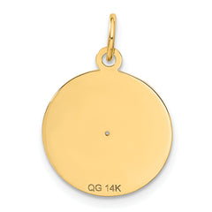 14k Record Album Charm