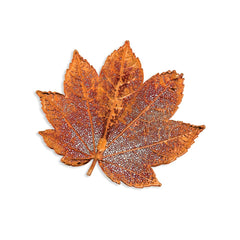 Iridescent Copper Dipped Full Moon Maple Leaf Pin