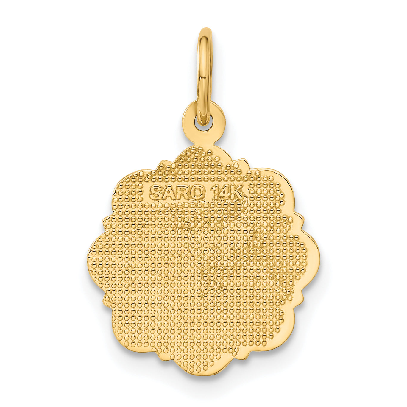 14k RN Registered Nurse Disc Charm