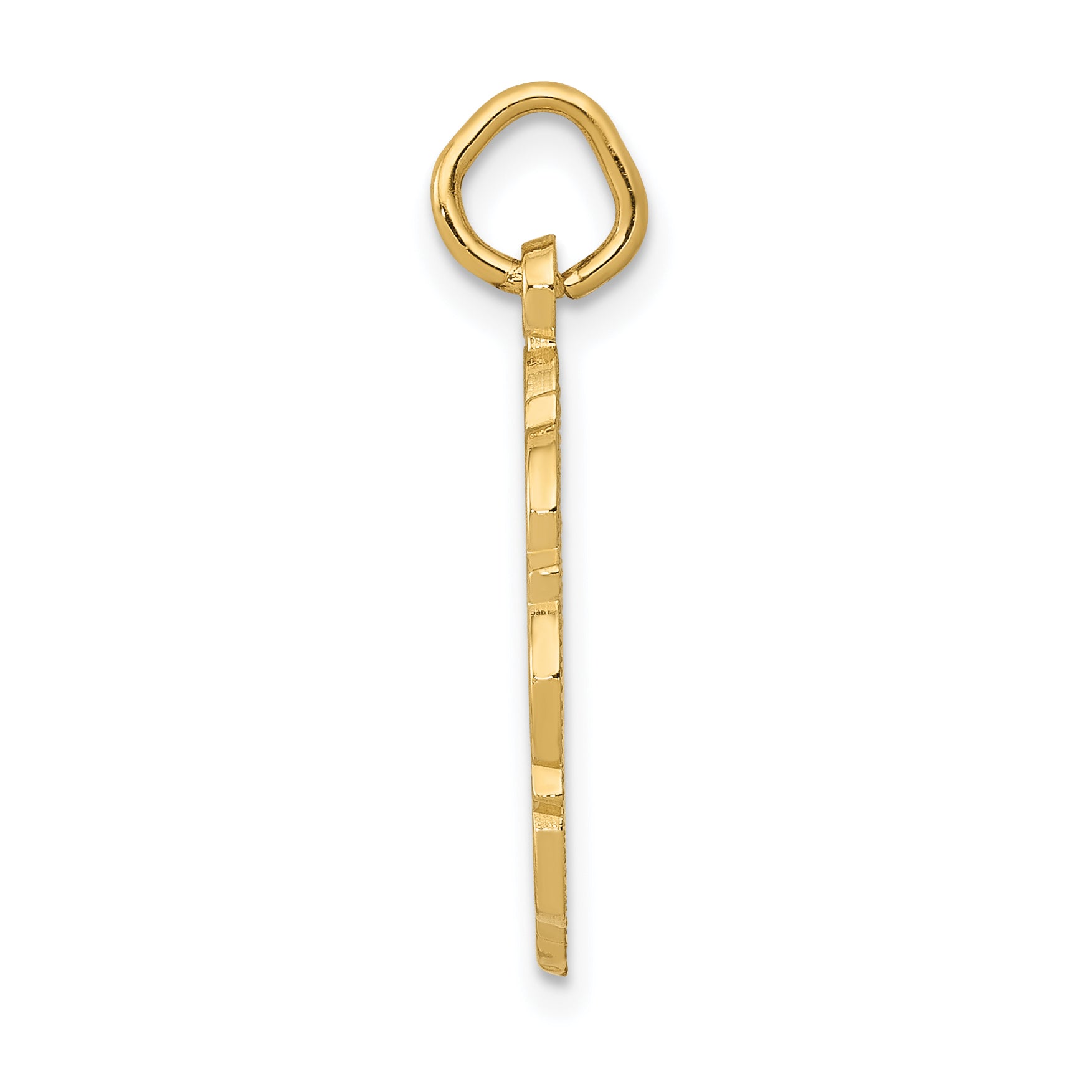 14k RN Registered Nurse Disc Charm