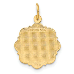 14k RN Registered Nurse Disc Charm