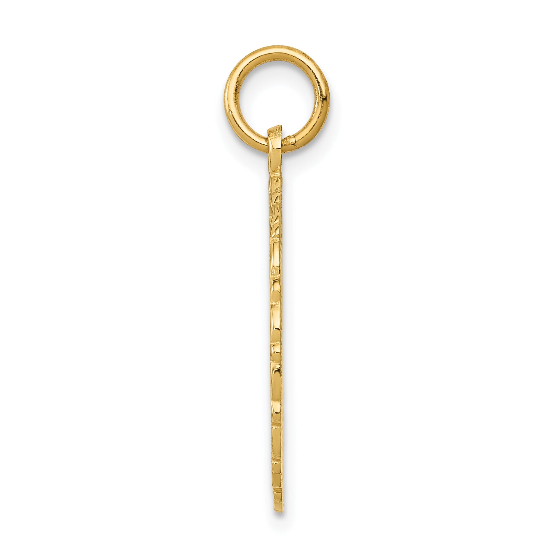 14k RN Registered Nurse Disc Charm