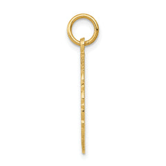 14k RN Registered Nurse Disc Charm