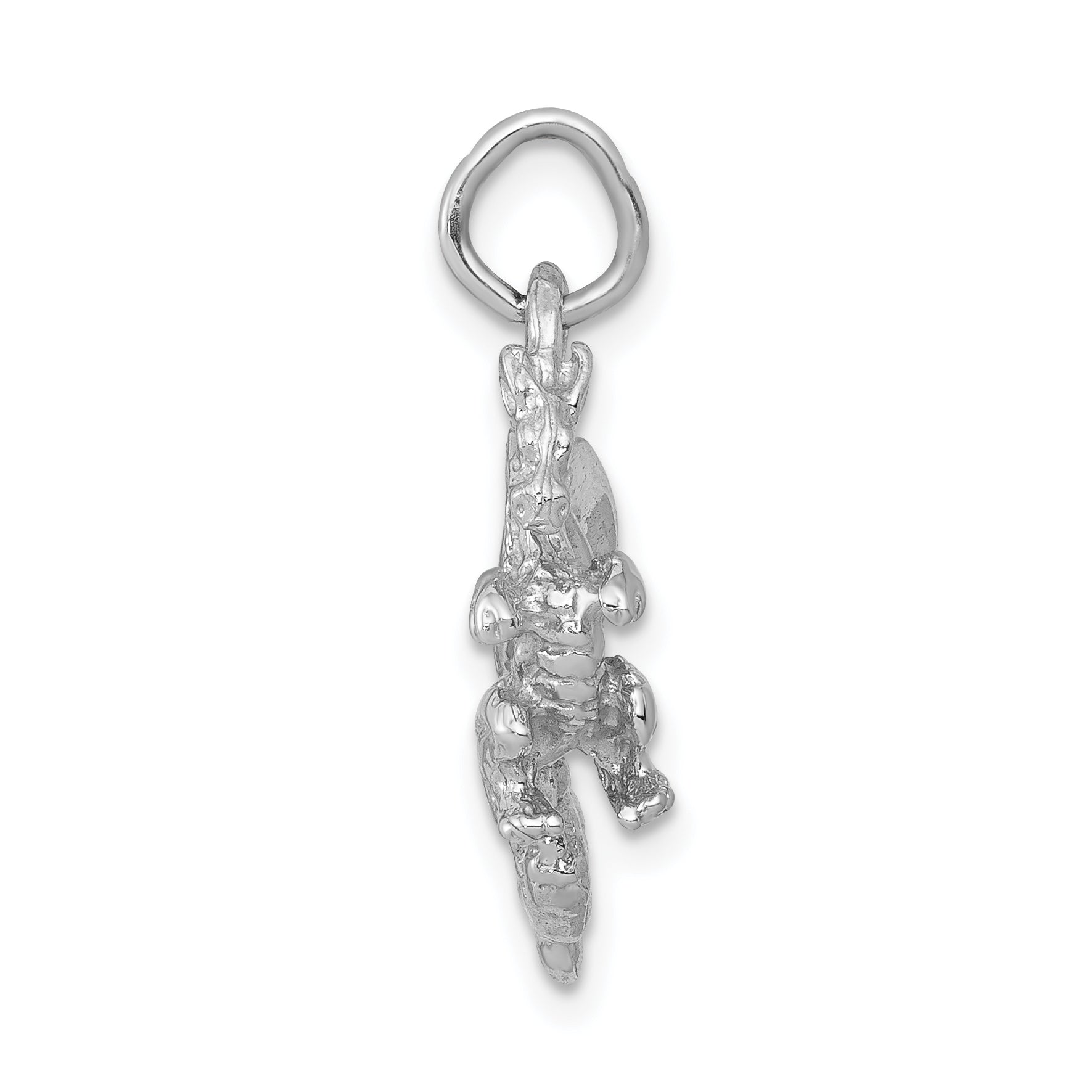 14k White Gold Solid Polished 3-D Dragon Charm