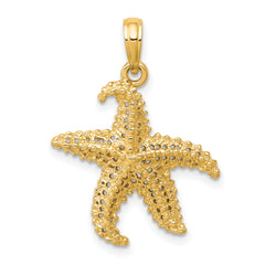 14k Polished Open-Backed Starfish Pendant