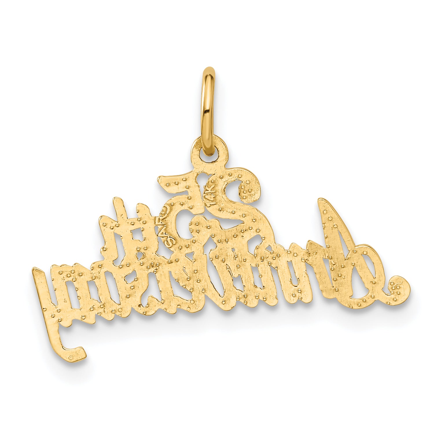 14K Gold 25th Anniversary Charm with Polished Textured Finish