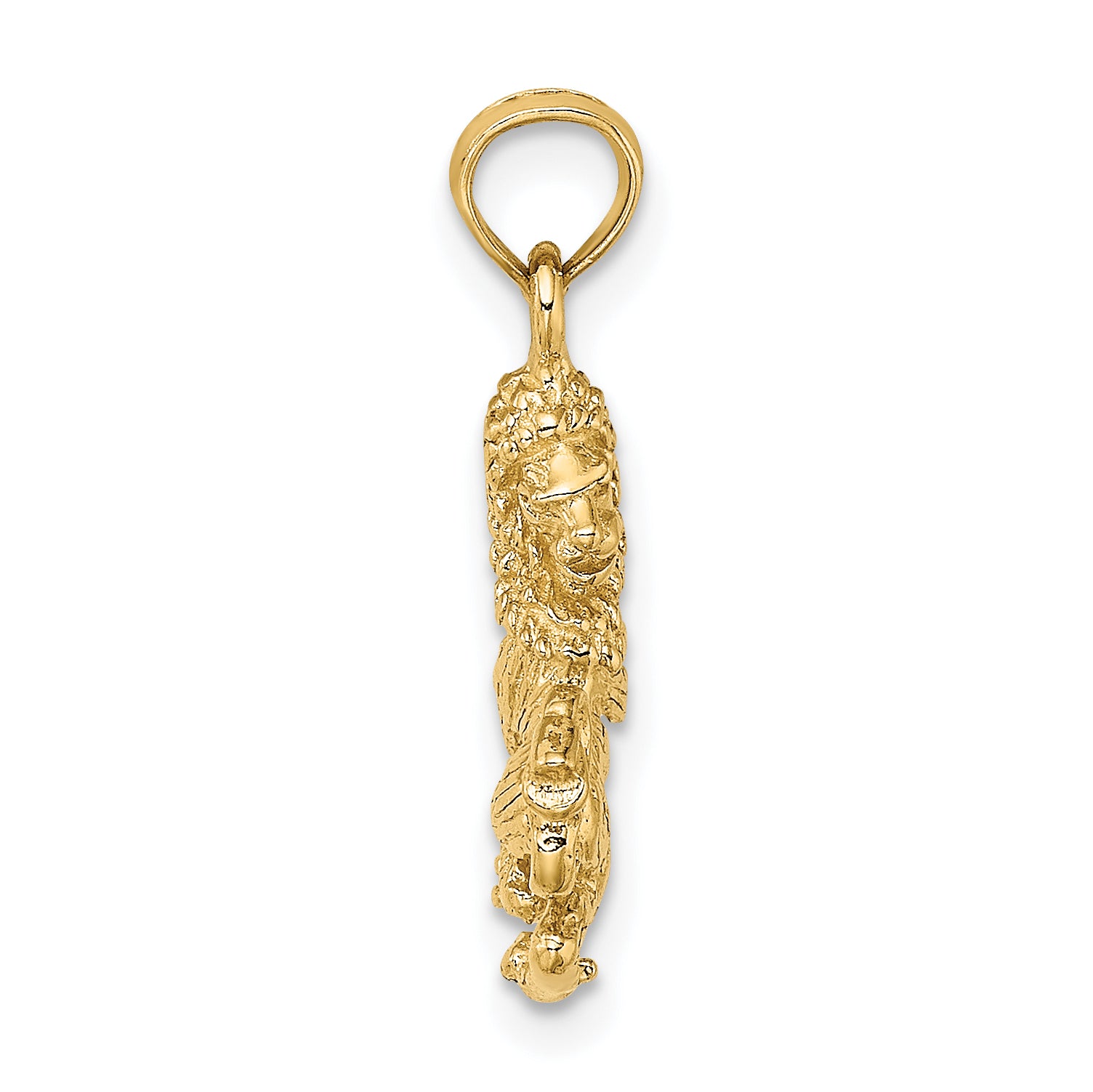 14k 3-D Leo Zodiac Charm