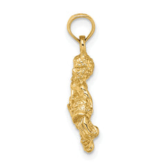 14k 3-D Aquarius Zodiac Charm