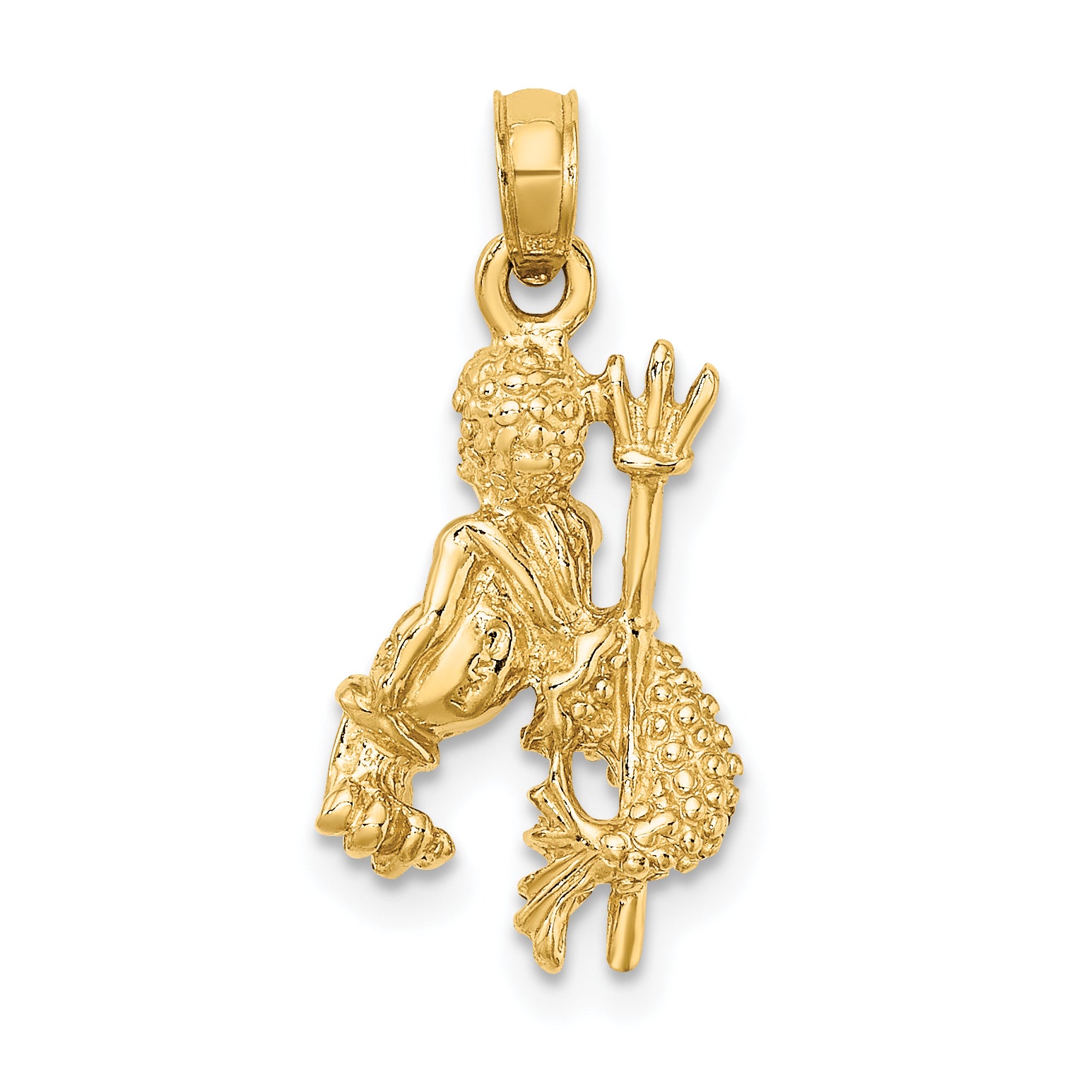 14k 3-D Aquarius Zodiac Charm