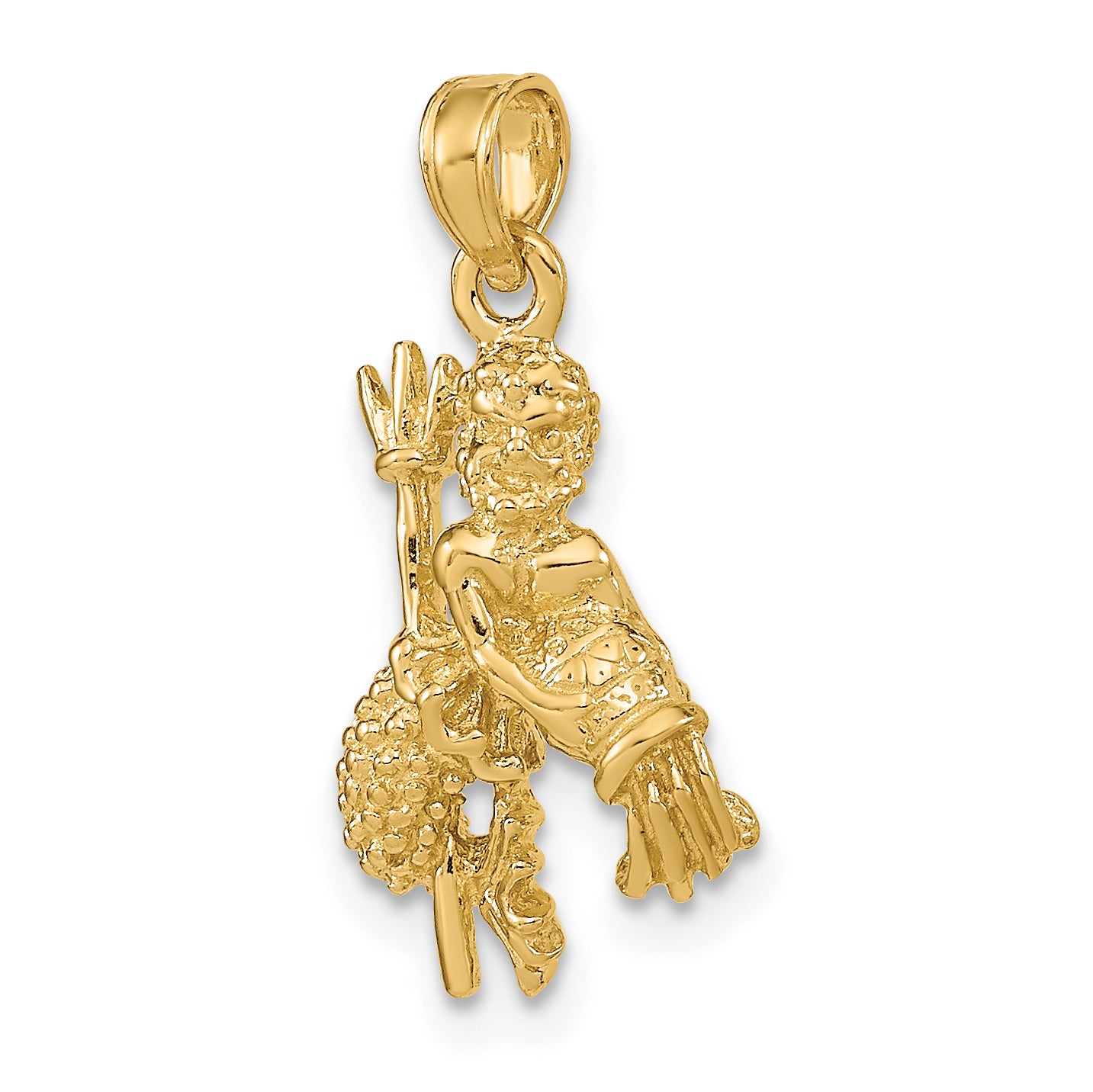 14k 3-D Aquarius Zodiac Charm