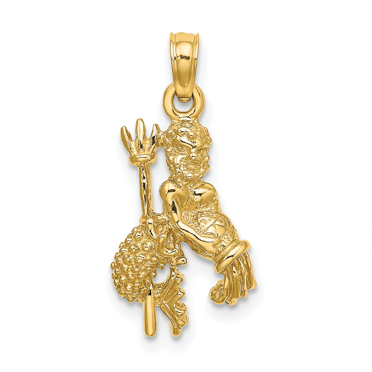 14k 3-D Aquarius Zodiac Charm