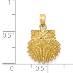 14k Textured Scallop Shell Pendant