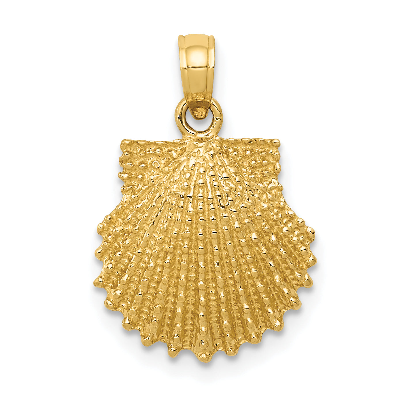 14k Textured Scallop Shell Pendant