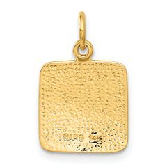 14K Satin and Diamond-Cut Angel Charm