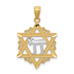 14k w/Rhodium Star of David Pendant