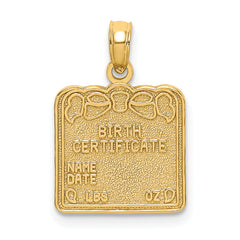 14k BIRTH CERTIFICATE Charm