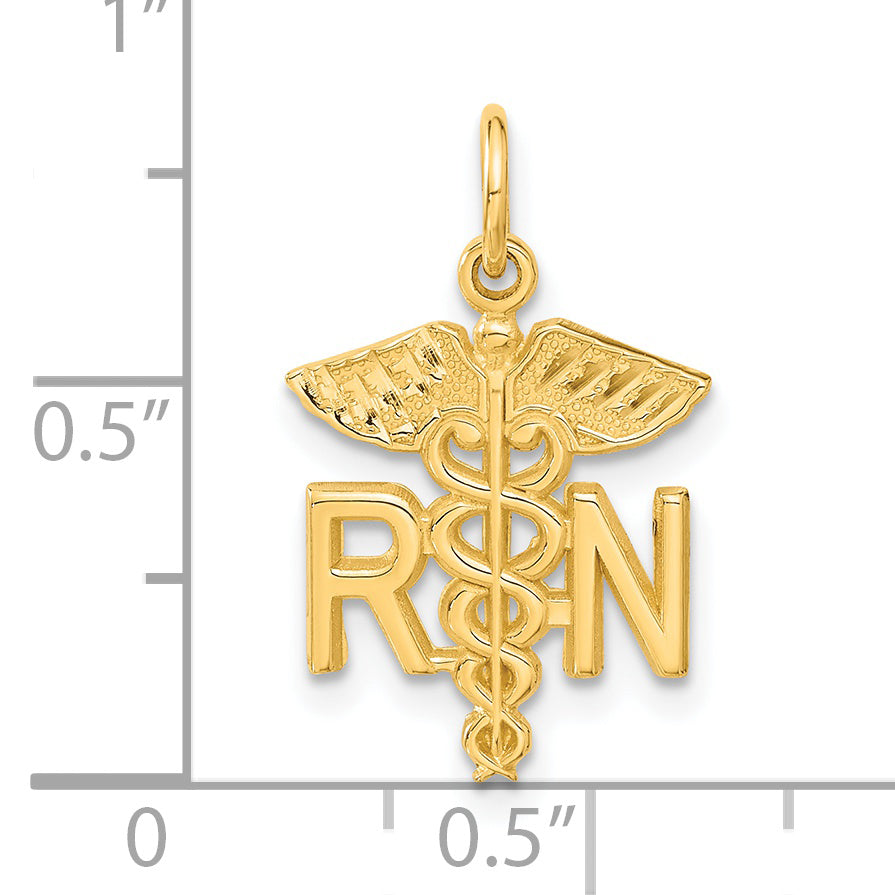 14k RN Nurse Charm